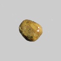 Leucoxène - La Durance - Peyrolles-en-Provence - Bouches-du-Rhône - FP - Taille 0,3mm