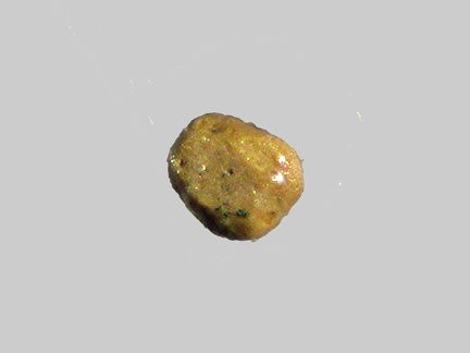 Leucoxène - La Durance - Peyrolles-en-Provence - Bouches-du-Rhône - FP - Taille 0,3mm