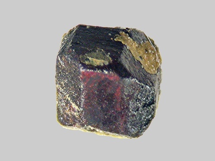Pyrite - La Durance - Peyrolles-en-Provence - Bouches-du-Rhône - FP - Taille 2mm