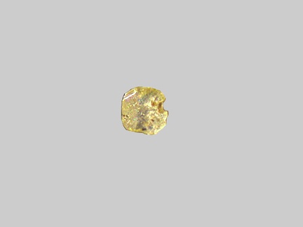 Titanite - La Durance - Peyrolles-en-Provence - Bouches-du-Rhône - FP - Taille 0.25mm
