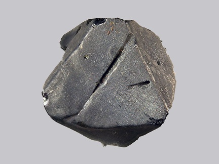 Magnétite titanifère - Beyssac - Saint-Jean-de-Nay - Haute-Loire - FP - Taille 7mm