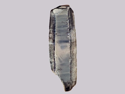Saphir - Grand Etang - L'Andelot - St-Didier-la-Fôrêt - Allier - FP - Taille 3,5mm