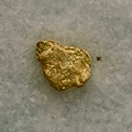 Or - Grand Etang - L'Andelot - St-Didier-la-Fôrêt - Allier - FP - Taille 0,4mm
