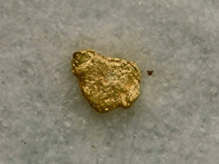 Or - Grand Etang - L'Andelot - St-Didier-la-Fôrêt - Allier - FP - Taille 0,4mm