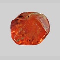 Zircon - L'Allier - Le Guétin - Cuffy - Cher - FP - Taille 1mm