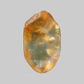 Zircon - l'Ailloux - Sugères - Puy-de-Dôme - FP - Taille 2mm