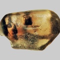 Zircon - Ruisseau de France - Saint-Christophe-d'Allier - Haute-Loire - FP - Taille 1,5mm