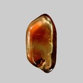Zircon - Ruisseau de France - Saint-Christophe-d'Allier - Haute-Loire - FP - Taille 1mm