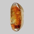 Zircon - Ruisseau de la Gouise - Chomélix - Haute-Loire - FP - Taille 7mm