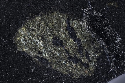 n°138182 - Pyrite (var. arborescente) - Le Villaret -  La Mure -  Isere