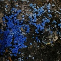 n°130085 - Cyanotrichite-- Arrigas (mine) - Gard