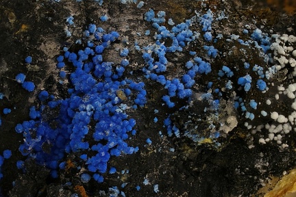 n°130085 - Cyanotrichite-- Arrigas (mine) - Gard