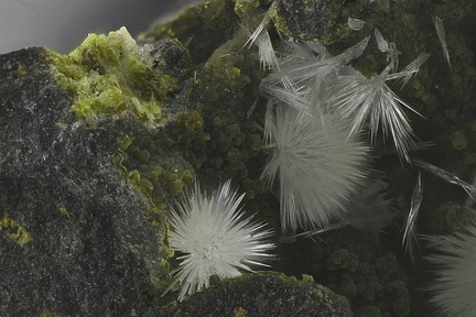 n°115067 - Aragonite - Curebourse (carrière) - Saint Clement - Cantal
