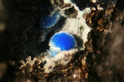 Linarite - La Poype - Vienne - Isère