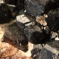 n°120027 - Andradite (var. Melanite)  - Rocher de Farinole	- Farinole - Haute-Corse