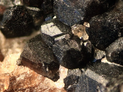 n°120027 - Andradite (var. Melanite)  - Rocher de Farinole	- Farinole - Haute-Corse