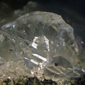 n°163273 - Chabazite (var. Phacolite) - Carrière du Puy de Vivanson -	Perpézat - Puy de Dôme