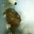 n°174012 - Titanite	Stilbite - La Chapoua (four) - Chamonix-Mont-Blanc - Haute-Savoie
