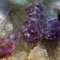 n°171118 - Fluorite - Carrière de Prezin -  Saint Prix	 - Saône et Loire