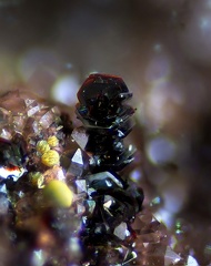 n°183141 Hématite - Lac de la Charbonnière - Fréjus - Var