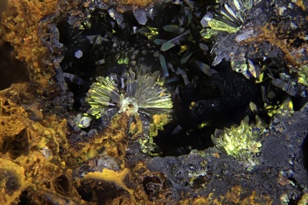 Hinsdalite - Bois de Buzon - Villapourçon - Nièvre