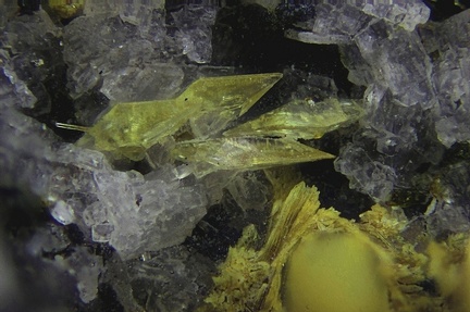 Titanite -  Ravin des Chomets - Mont-Dore - Puy de Dôme 