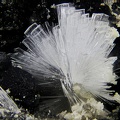 Hémimorphite - Les Molérats -Saint-Prix - Saint-Léger-sous-Beuvray - Saône-et-Loire