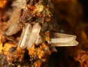 Cerussite - Lescure (mine) - Mayres - Ardèche
