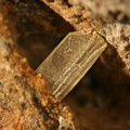 Cérusite -  La Poype - Vienne - Isère