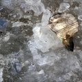 n°173097 - Anatase Brookite - La Grande Ecaille - Les Chapieux - Bourg St Maurice - Savoie