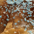n°134076 - Cyanotrichite -  Villecun - Olmet et Villecun - Hérault