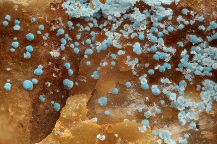 n°134076 - Cyanotrichite -  Villecun - Olmet et Villecun - Hérault
