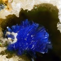 Linarite - Mine St Nicolas - Steinbach - Haut-Rhin