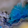 Serpierite - La Baume - Villefranche de Rouergue -  Aveyron