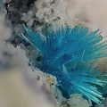 Serpierite - La Baume -  Villefranche de Rouergue -  Aveyron
