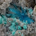 Serpierite Schulenbergite - La Baume - Villefranche de Rouergue -  Aveyron