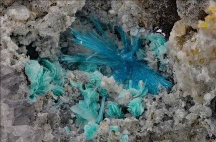 Serpierite Schulenbergite - La Baume - Villefranche de Rouergue -  Aveyron