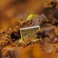 Autunite - La Commanderie - Le Temple - Deux-Sèvres