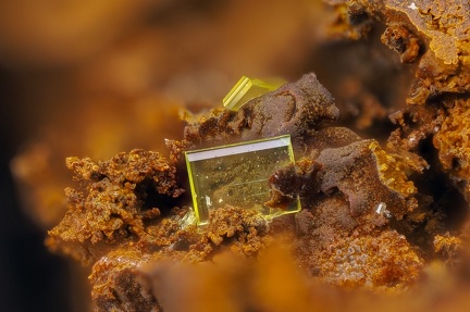Autunite - La Commanderie - Le Temple - Deux-Sèvres