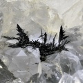 Acanthite - Mine St Pierre - Ste Marie-aux-Mines - Haut-Rhin