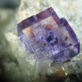 Fluorite - Les Gottes (Carrière) - St Julien Molin-Molette - Loire