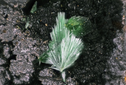 Malachite  Goethite - Mollau - Vallée de la Thur - Haut-Rhin