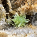 Pyromorphite - Donnerloch-Steinbach - Haut-Rhin