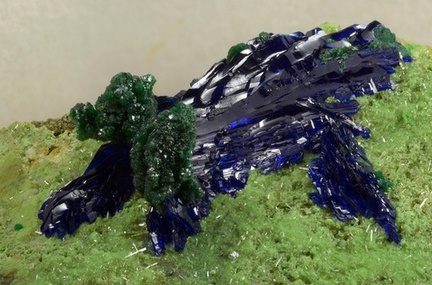Azurite Brochantite Bayldonite Olivenite - Cap Garonne - Le Pradet - Var