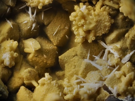 Cerusite -  Mine de l'Eperon -  Beauvoir -  Echassières -  Allier