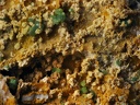 Chalcosiderite Quartz - Mine de l'Eperon -  Beauvoir -  Echassières -  Allier