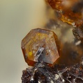 Jarosite -  Mine de l'Eperon -  Beauvoir -  Echassières -  Allier