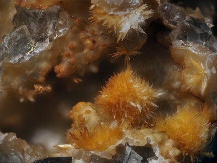 Scholzite - Carrière de Birrity - Arbouet-Sussaute -  Pyrénées-Atlantiques 