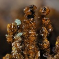 Jarosite Chalcosiderite - Mine de l'Eperon - Beauvoir - Echassières - Allier