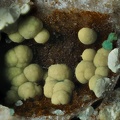 Kidwellite Chalcosiderite -  Mine de l'Eperon - Beauvoir - Echassières - Allier